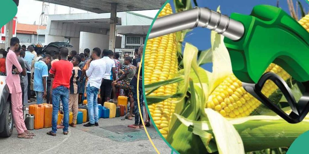 MEMAN advocates ethanol as alternate fuel, plans $7bn yearly savings