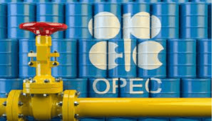Port Harcourt refinery and Nigeria petroleum products’ sufficiency – Call on OPEC