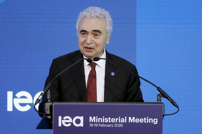 IEA Chief Targets Doubling Nigeria’s Energy Investment Within Five Years